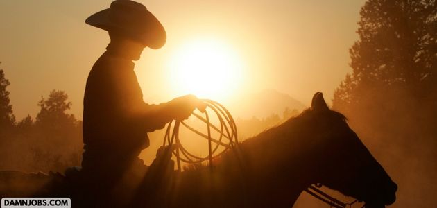 The Cybersecurity Cowboy: Protecting the Digital Frontier