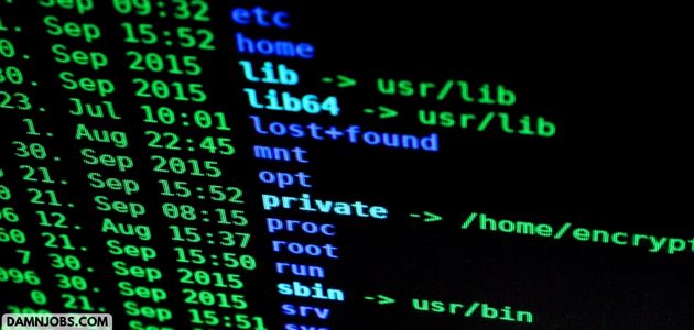 Resume and Cover Letters for Tech Jobs