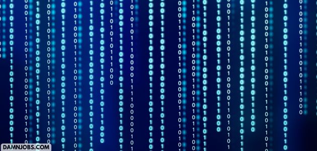 Everything a person needs to know about pursuing a career in software engineering