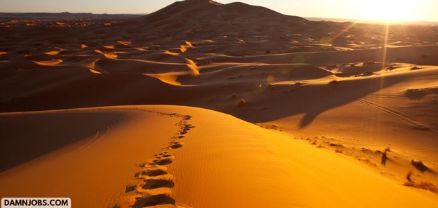 Finding a New Job: Asking for Help When You Need It