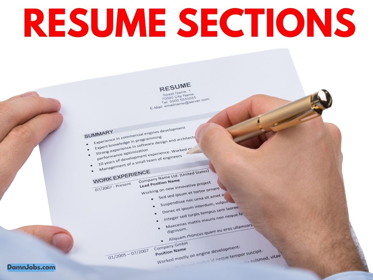 Resume Sections: Essential Elements to Include Beyond Just Work Experience