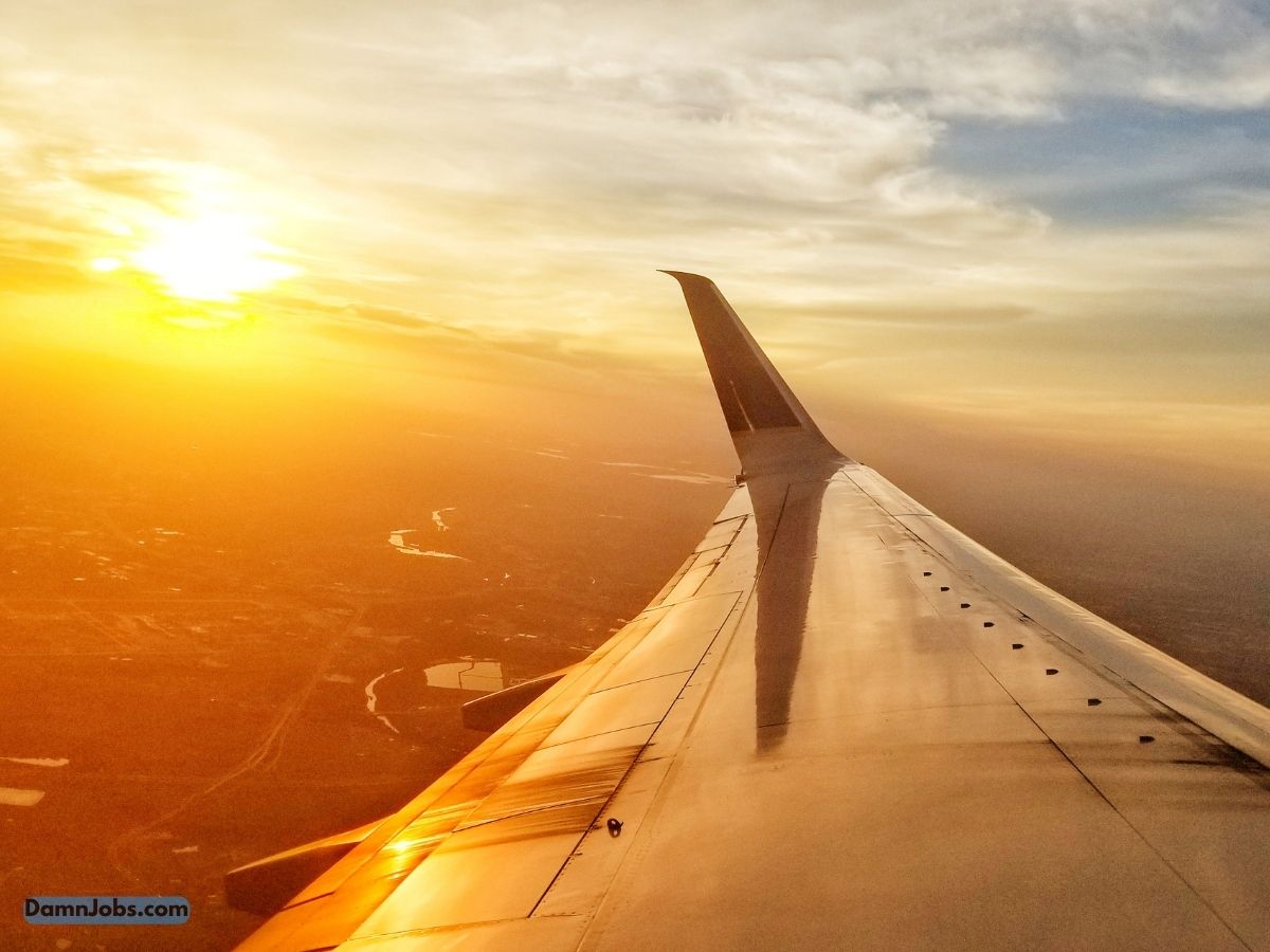 From Office Drone to World Traveler: My Story