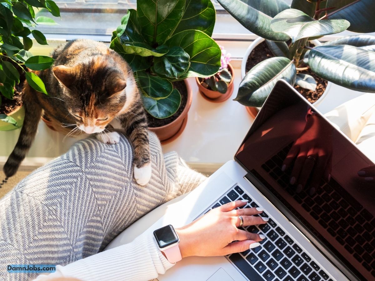 How to Showcase Freelance Work on Your Resume: Tips for Highlighting Your Gig Experience