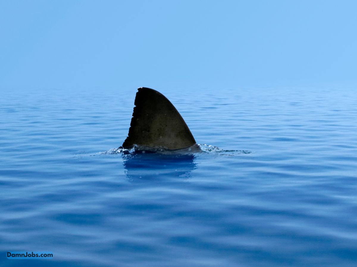 Shark Tank Entrepreneurship Exposed: Insider Stories of Big Risks and Even Bigger Rewards