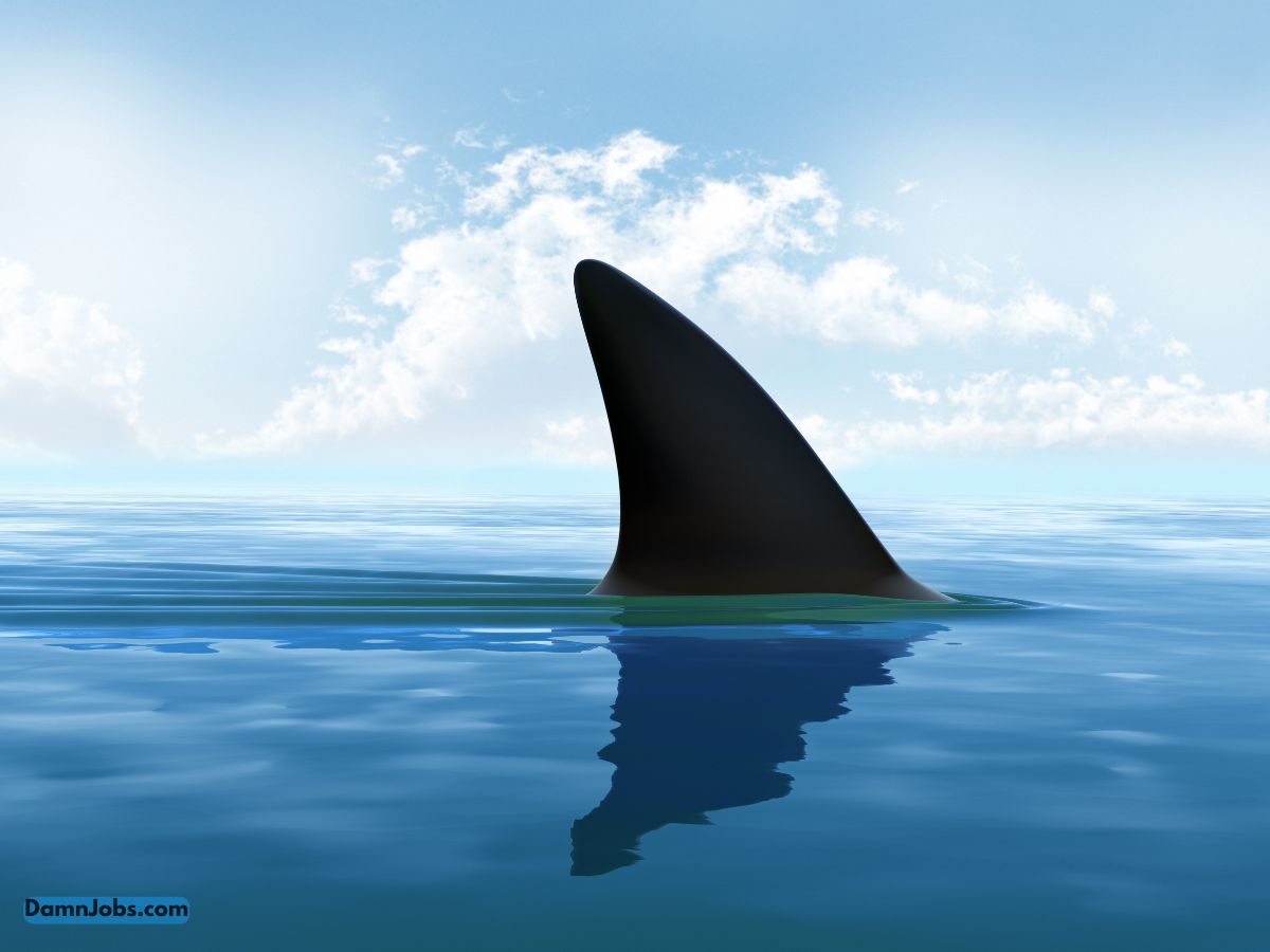 Behind the Curtain: Exclusive Stories from Entrepreneurs Who Made It Big on Shark Tank