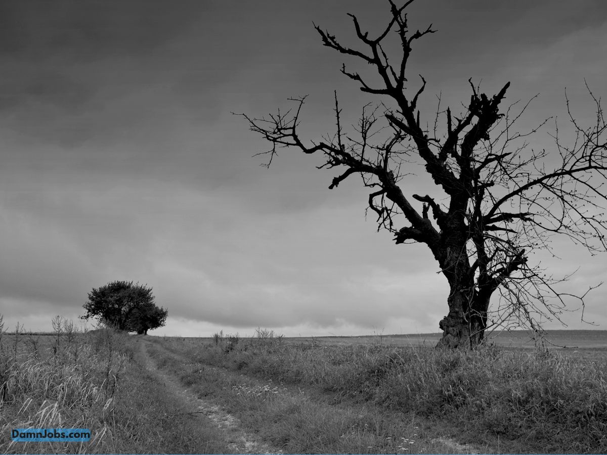  i don't have a damn job i lost it 3 months ago