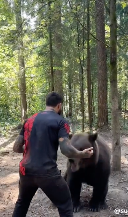 bear vs man