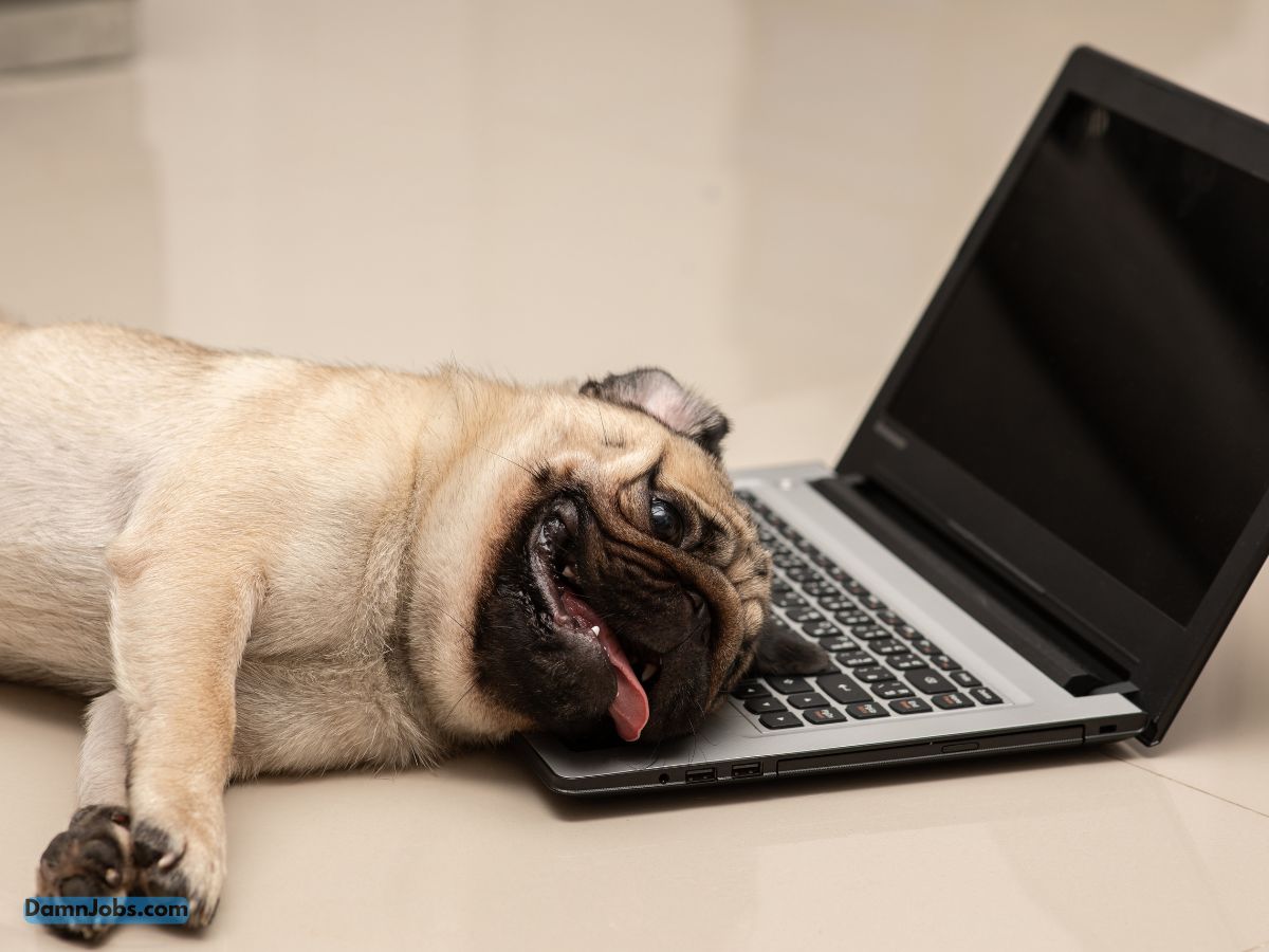 25 Funny Jokes About Tech Jobs That Will Make You LOL