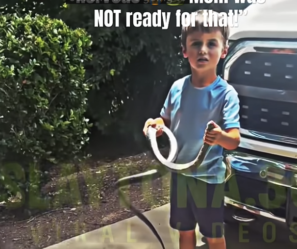 Harrison out here making Animal Planet nervous 😭🐍 Mom was NOT ready for that!