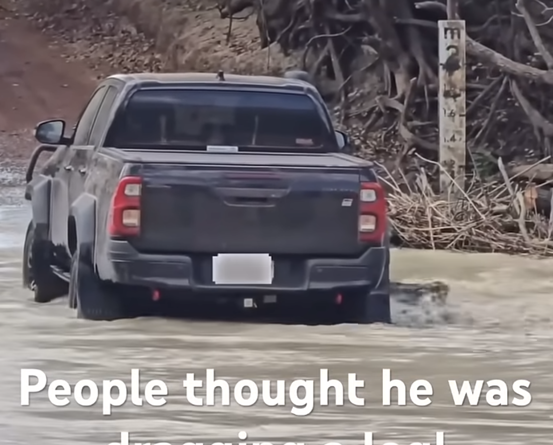 People thought he was dragging a log! 