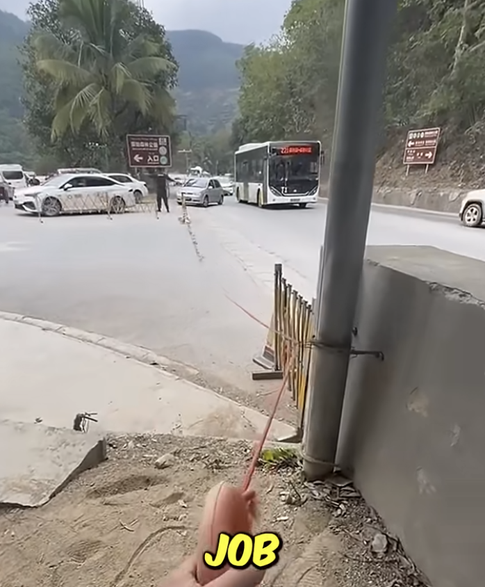 The Easiest Job in the World? 🤯