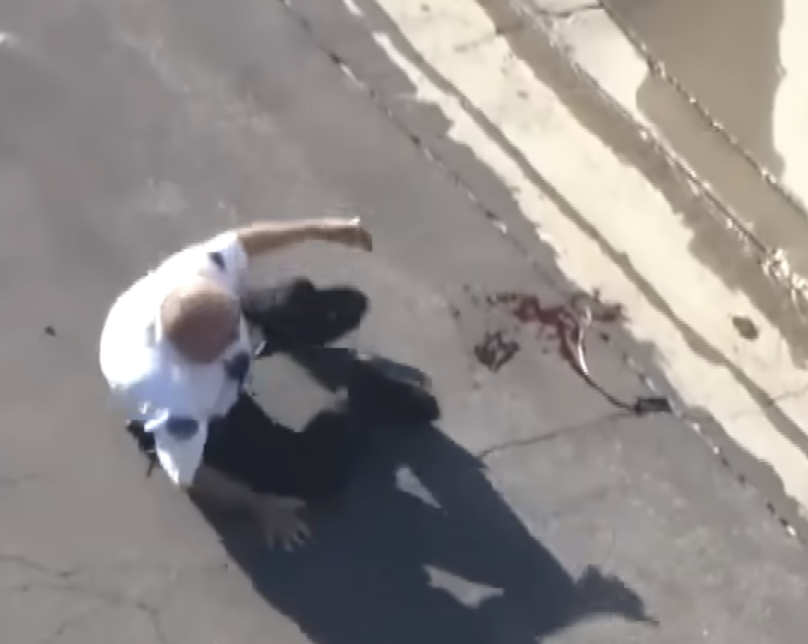 Angry Bee Swarm Attacks Volunteer Police Officer on Live TV