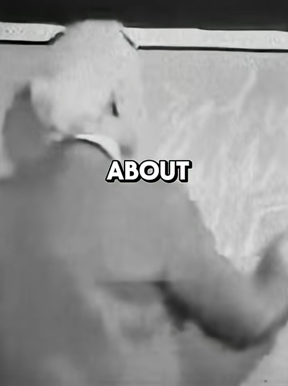 At the End of the Day, You Decide How to Respond | Jim Rohn Motivation