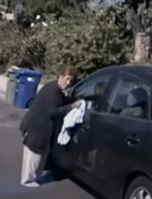 Hero Plumbers Spring Into Action After Bee Swarm Attacks Grandma