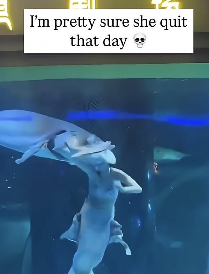 Sturgeon Bites Mermaid's Head in Aquarium