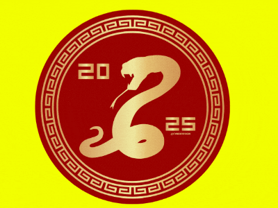 2025 Snake Las Vegas-Inspired Chip for New Year