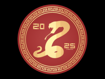 2025 Snake Las Vegas-Inspired Chip for New Year