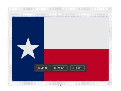 Texas Flag Keychain